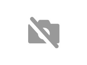 Renault Megane III COUPE 2.0 TCE 180CH DYNAMIQUE Occasion